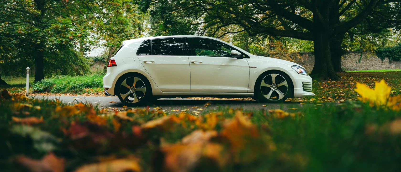 Goose GTI Vintage-15